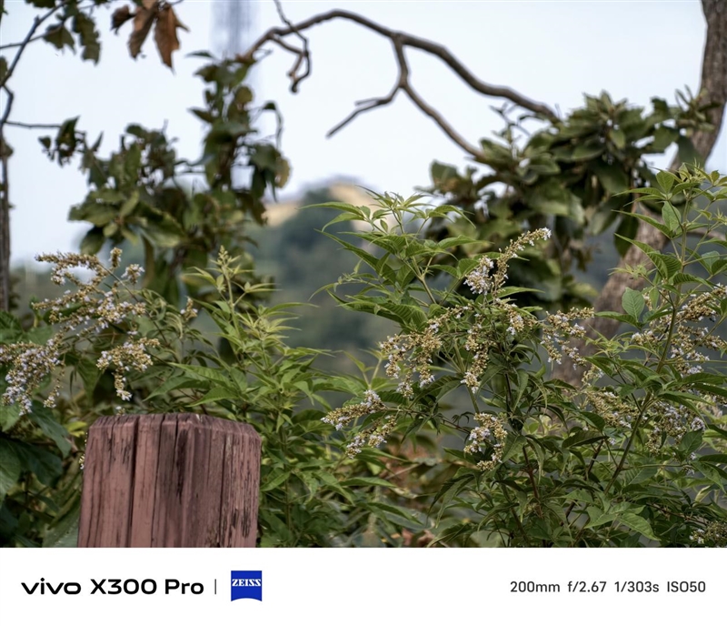 史上最强的影像旗舰！vivo X300 Pro评测：越级挑战的全能神机