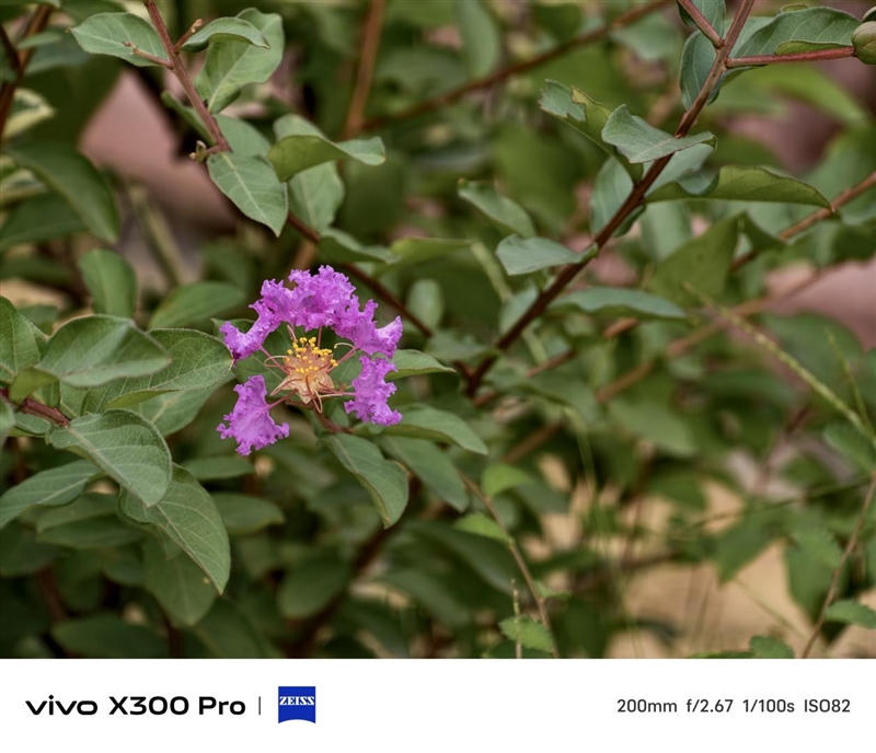 史上最强的影像旗舰！vivo X300 Pro评测：越级挑战的全能神机