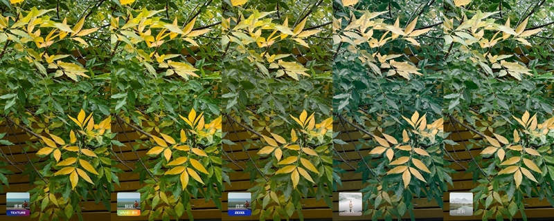 完美小屏影像旗舰！vivo X300手机评测：随手一拍就有德味 高阶技巧信手拈来