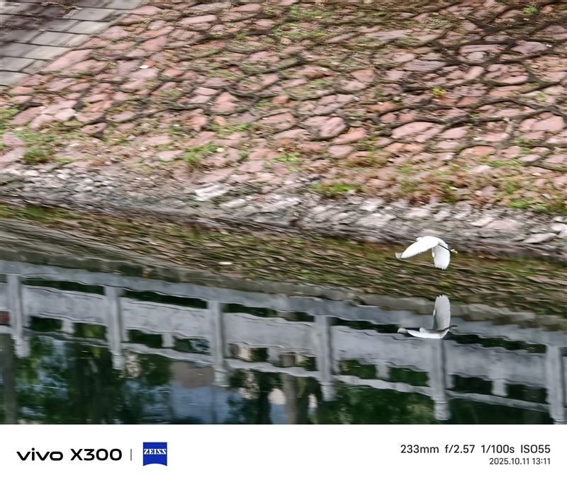 完美小屏影像旗舰！vivo X300手机评测：随手一拍就有德味 高阶技巧信手拈来