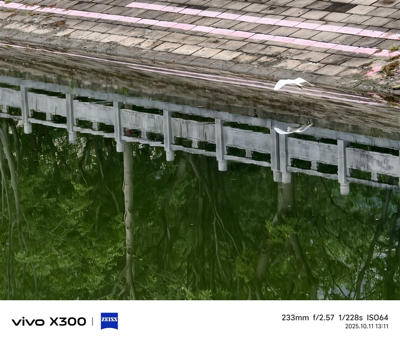 完美小屏影像旗舰！vivo X300手机评测：随手一拍就有德味 高阶技巧信手拈来