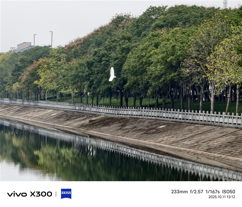 完美小屏影像旗舰！vivo X300手机评测：随手一拍就有德味 高阶技巧信手拈来