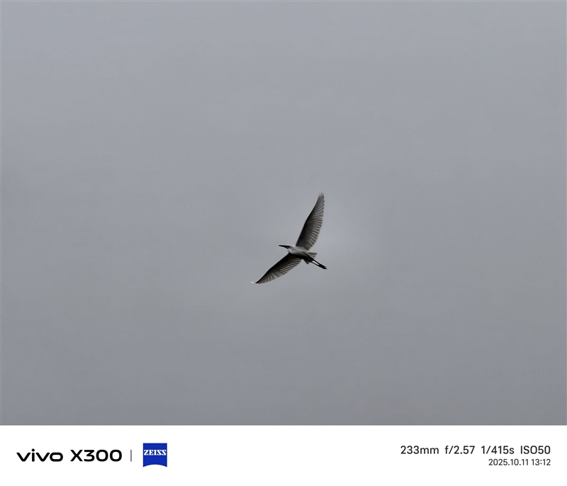 完美小屏影像旗舰！vivo X300手机评测：随手一拍就有德味 高阶技巧信手拈来