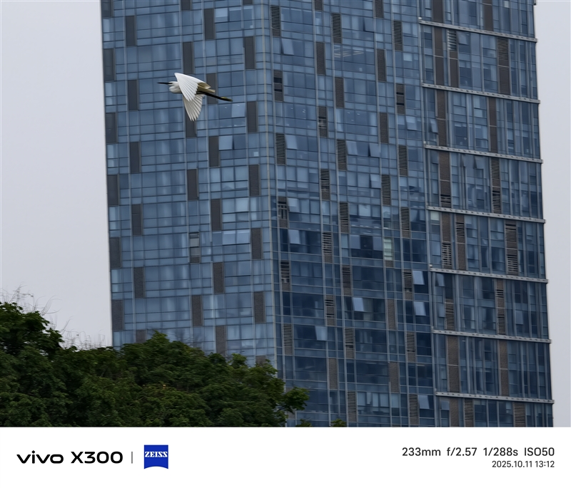 完美小屏影像旗舰！vivo X300手机评测：随手一拍就有德味 高阶技巧信手拈来