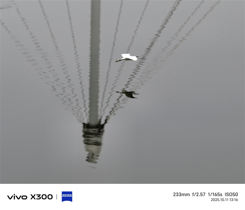 完美小屏影像旗舰！vivo X300手机评测：随手一拍就有德味 高阶技巧信手拈来