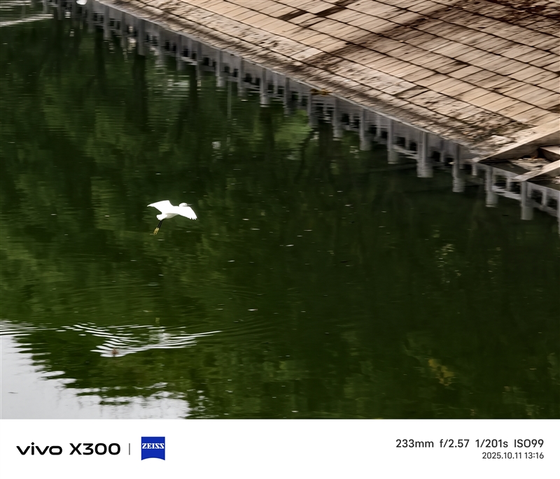 完美小屏影像旗舰！vivo X300手机评测：随手一拍就有德味 高阶技巧信手拈来