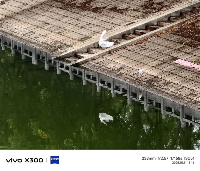 完美小屏影像旗舰！vivo X300手机评测：随手一拍就有德味 高阶技巧信手拈来