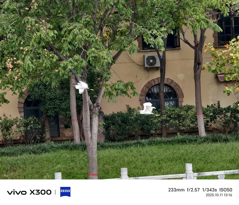 完美小屏影像旗舰！vivo X300手机评测：随手一拍就有德味 高阶技巧信手拈来
