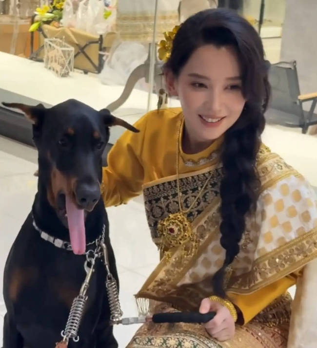 森林北否认参与网传投资项目： 已聘请律师维权
