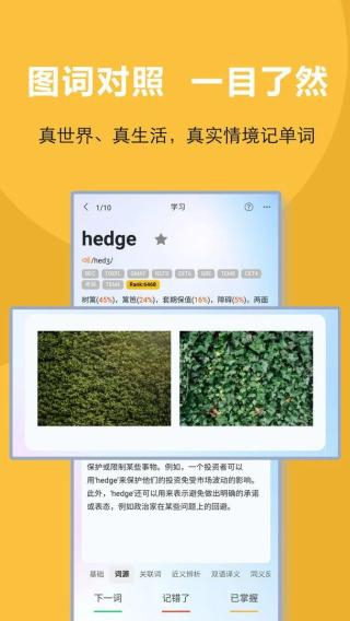 过目不忘单词