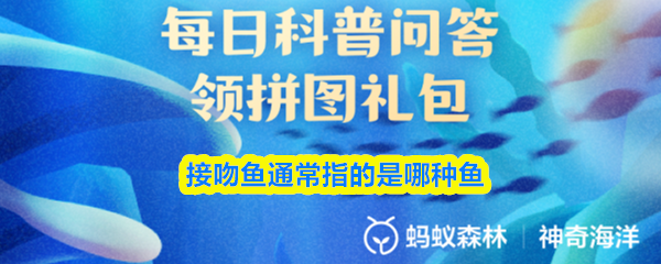 接吻鱼通常指的是哪种鱼