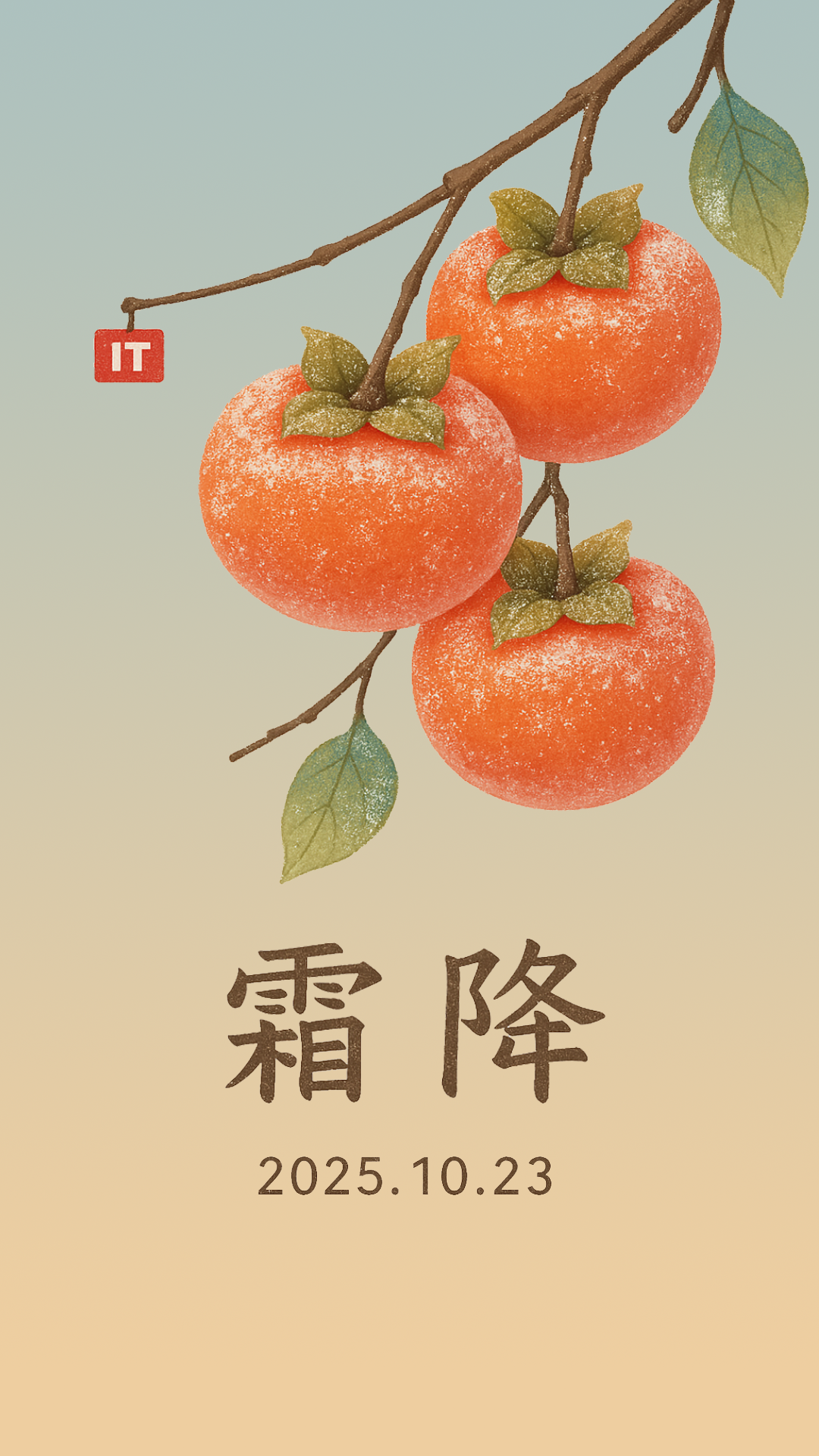 今日霜降：恍然暮秋至，静候冬日来