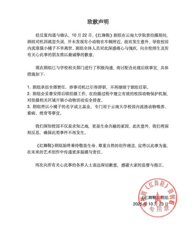 《红舞鞋》剧组回应撞猫事件：涉事司机已引咎辞职