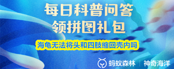 海龟无法将头和四肢缩回壳内吗