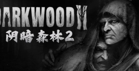 《阴暗森林2》游戏配置要求介绍