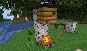 我的世界如何获取蜂蜜