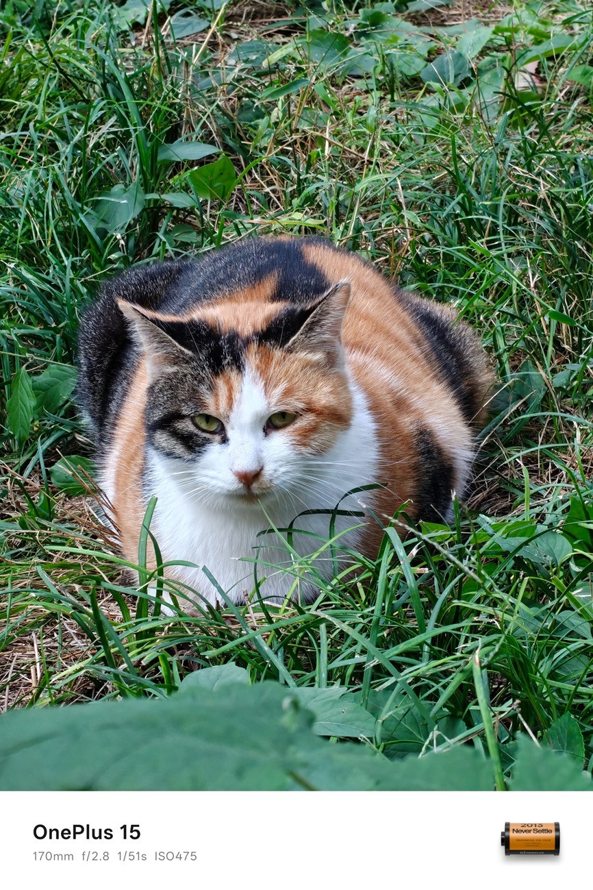 一加15全面评测 开启165超高帧游戏时代