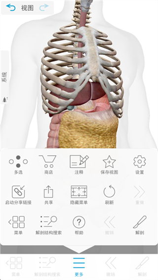 人体解剖学图谱