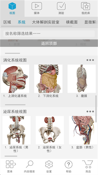 人体解剖学图谱