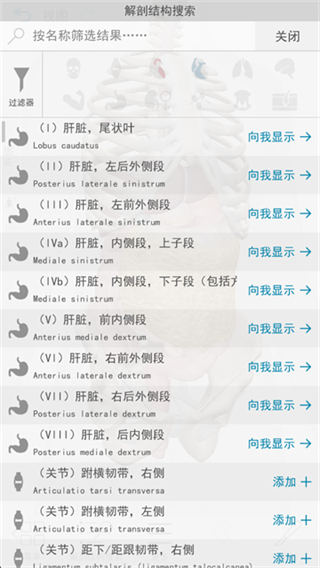 人体解剖学图谱