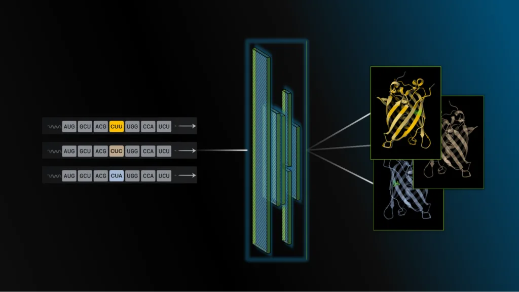 隆重推出用于 RNA 设计和分析的 CodonFM 开放模型
