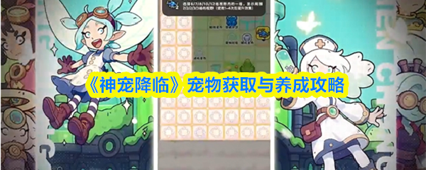 《神宠降临》宠物获取与养成攻略