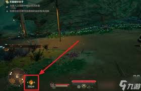 天外世界2费尔菲尔德镇重要道具如何收集