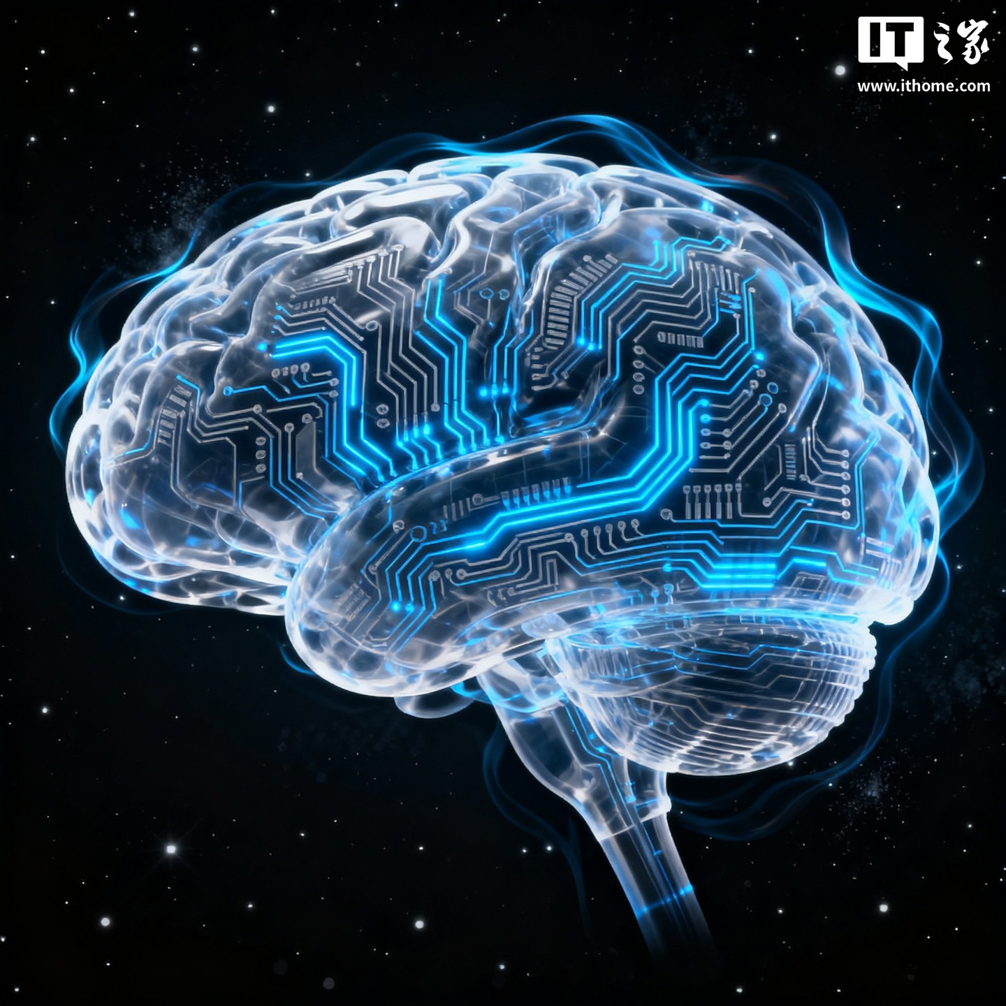 《中国神经系统疾病报告 2024》发布，脑机接口研究取得突破性进展