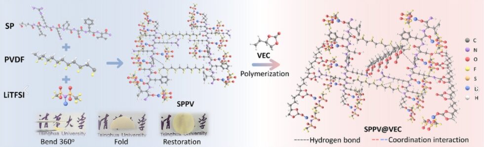 清华团队把大豆做成固态电池电解质，高温下耐用还环保
