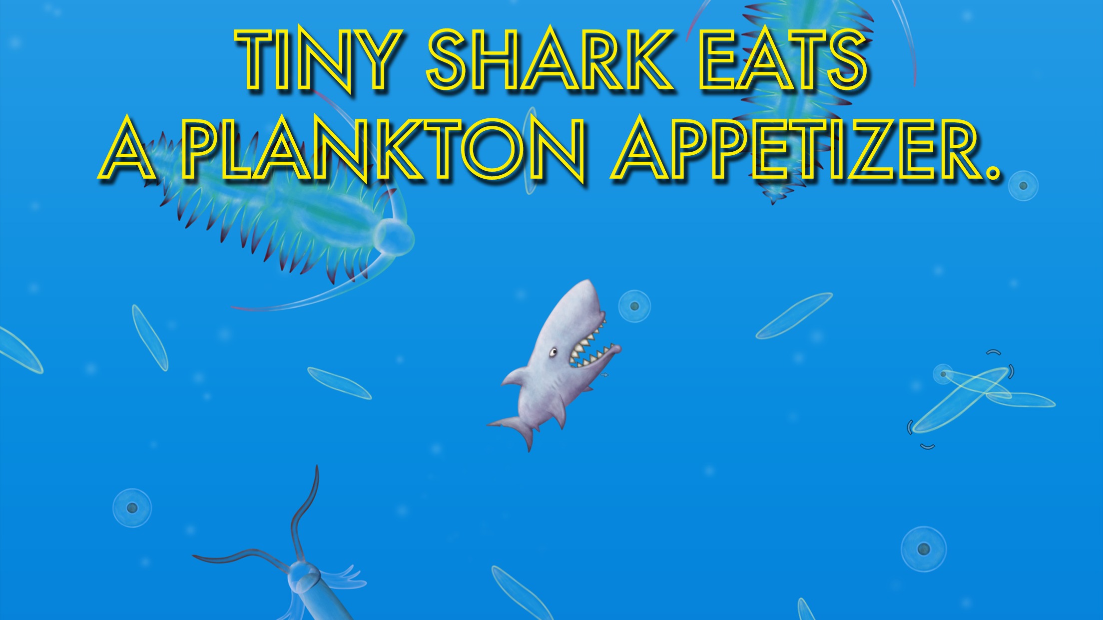 美味海洋中文版