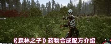 森林之子药物合成配方是什么
