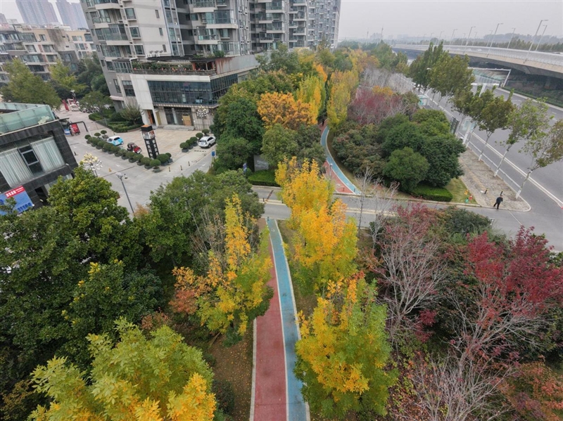 最适合入门的无人机!大疆Neo 2评测:4K60帧影像 全向避障随便飞!