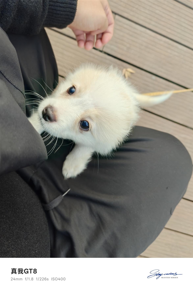 2K档最强性能!真我GT8评测:越级挑战的骁龙8至尊版