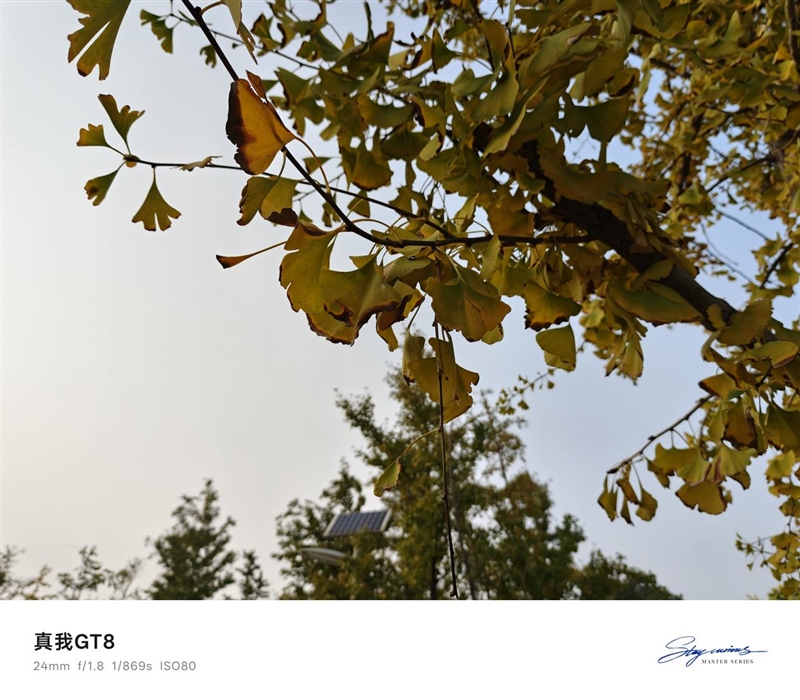 2K档最强性能!真我GT8评测:越级挑战的骁龙8至尊版