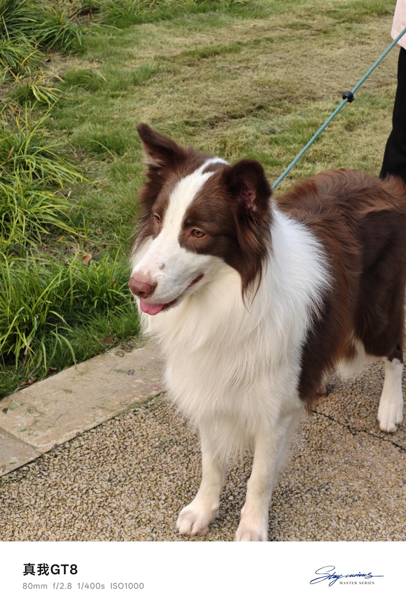 2K档最强性能!真我GT8评测:越级挑战的骁龙8至尊版