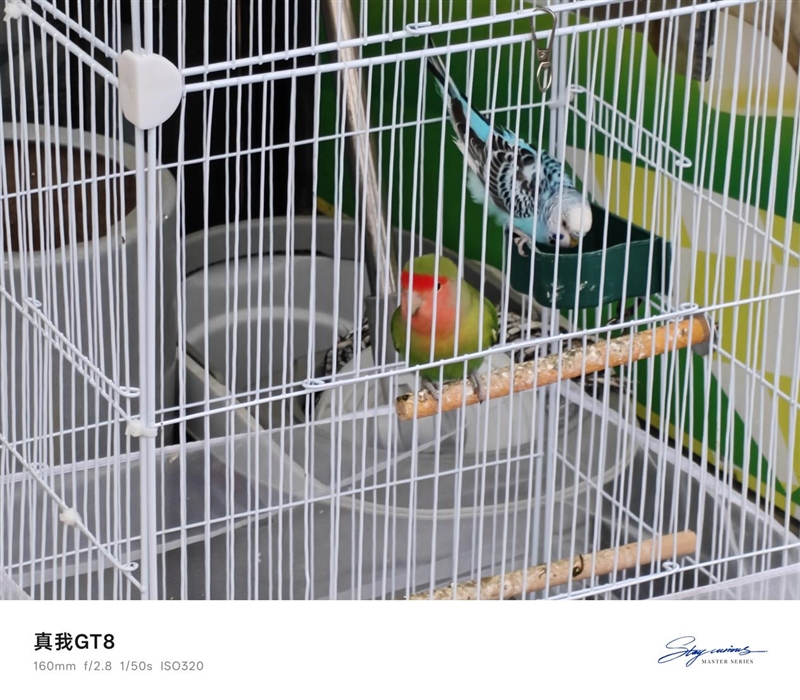 2K档最强性能!真我GT8评测:越级挑战的骁龙8至尊版