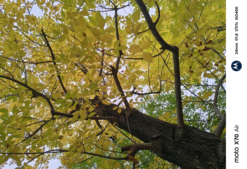 安卓Air首秀！ 联想moto X70 Air 评测：159g的极致轻薄