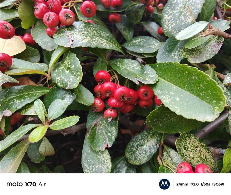 安卓Air首秀！ 联想moto X70 Air 评测：159g的极致轻薄