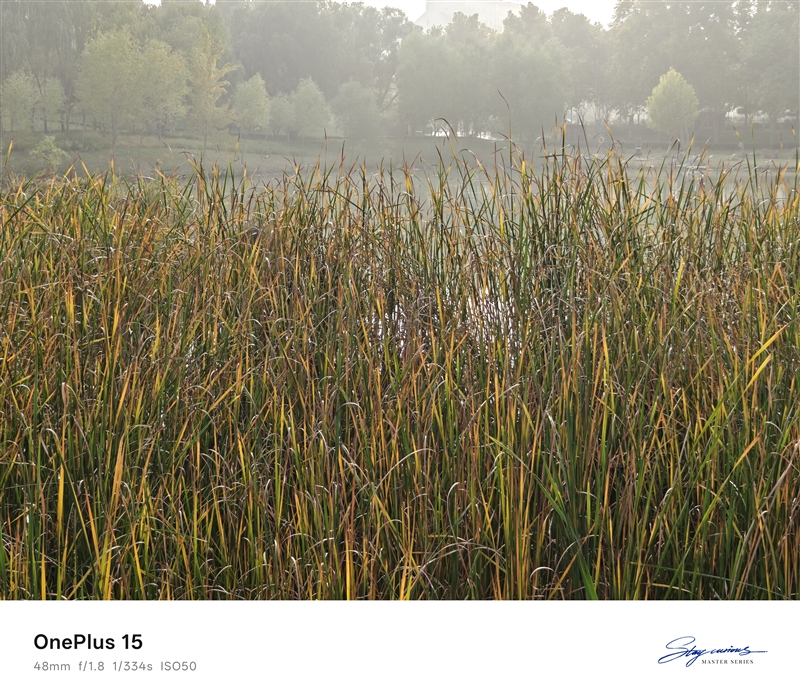 性能至上! 一加 15评测:风驰游戏内核赋能 第五代骁龙8至尊版释放极致战力