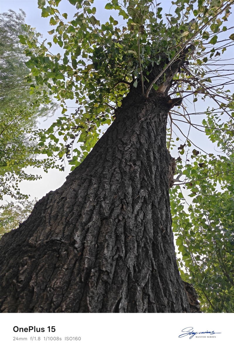 性能至上! 一加 15评测:风驰游戏内核赋能 第五代骁龙8至尊版释放极致战力