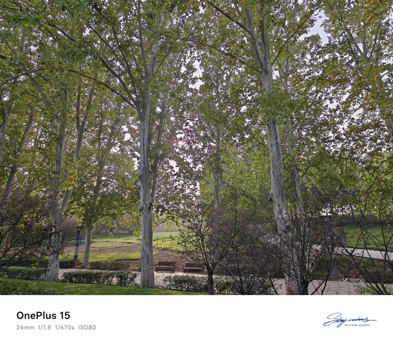 性能至上! 一加 15评测:风驰游戏内核赋能 第五代骁龙8至尊版释放极致战力