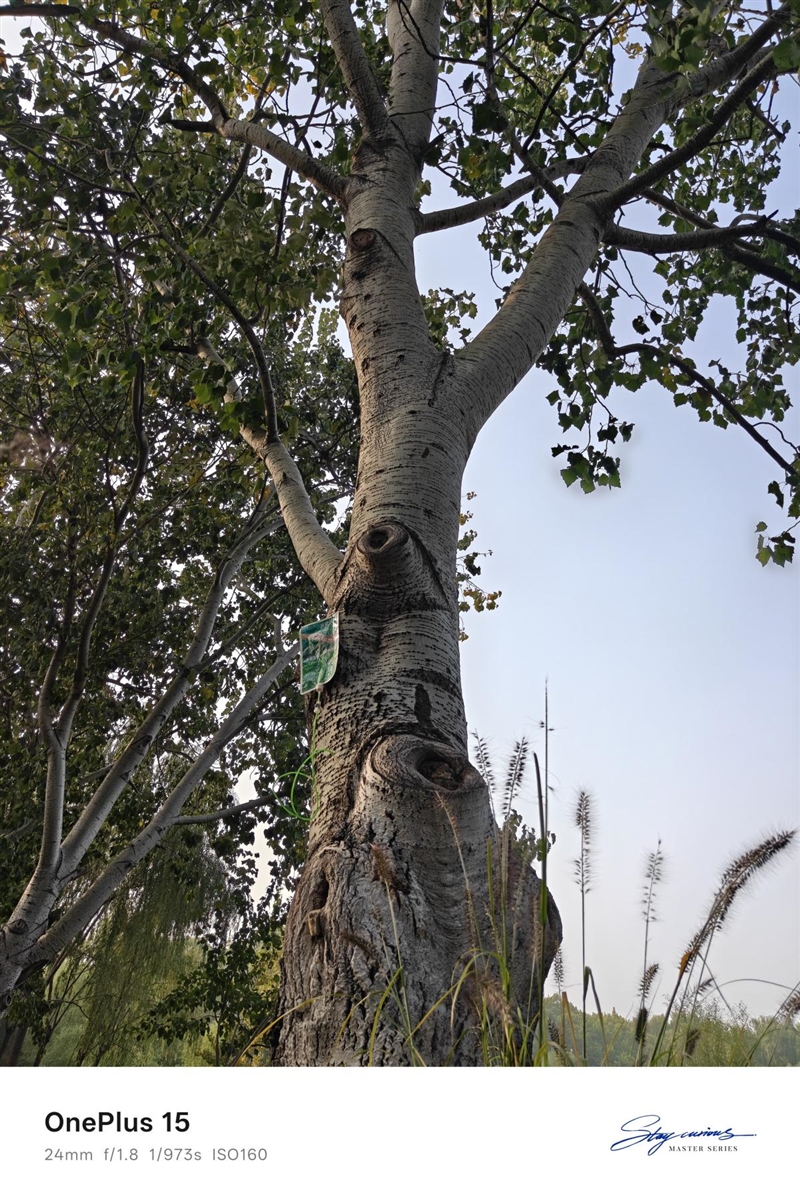 性能至上! 一加 15评测:风驰游戏内核赋能 第五代骁龙8至尊版释放极致战力