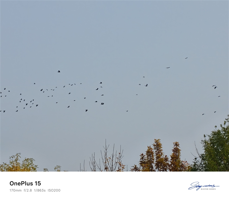 性能至上! 一加 15评测:风驰游戏内核赋能 第五代骁龙8至尊版释放极致战力