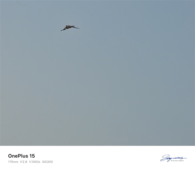 性能至上! 一加 15评测:风驰游戏内核赋能 第五代骁龙8至尊版释放极致战力