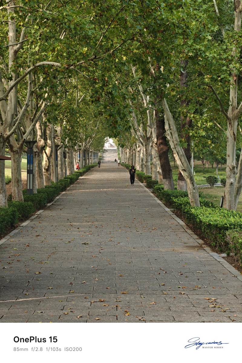 性能至上! 一加 15评测:风驰游戏内核赋能 第五代骁龙8至尊版释放极致战力