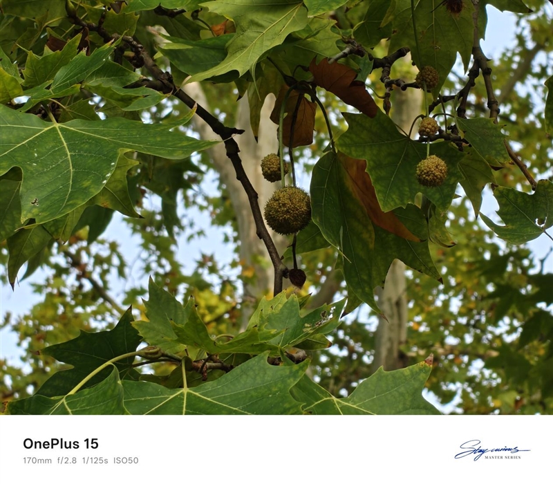 性能至上! 一加 15评测:风驰游戏内核赋能 第五代骁龙8至尊版释放极致战力