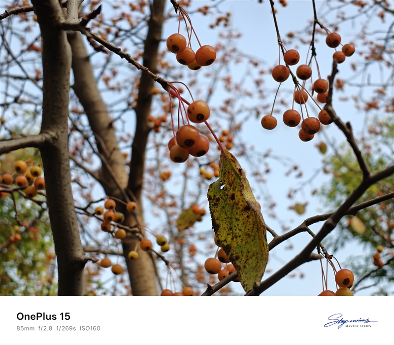 性能至上! 一加 15评测:风驰游戏内核赋能 第五代骁龙8至尊版释放极致战力