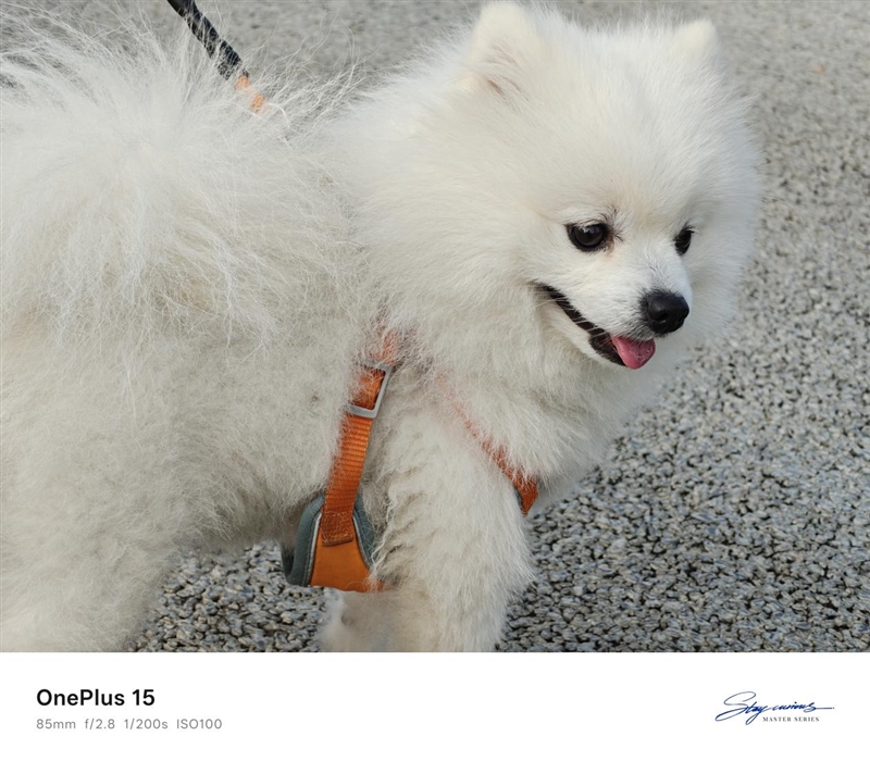 性能至上! 一加 15评测:风驰游戏内核赋能 第五代骁龙8至尊版释放极致战力