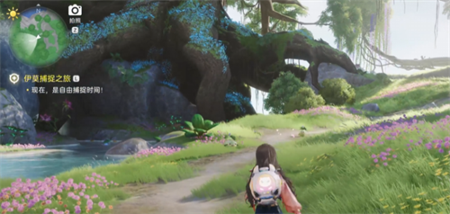 伊莫花舞兰精灵强度怎么样 伊莫花舞兰精灵强度介绍