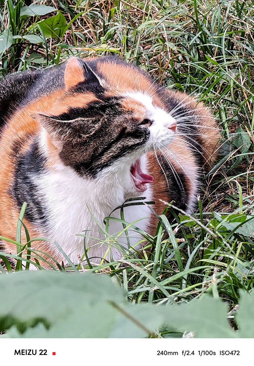 魅族22全面评测:魅友心中的“白”月光